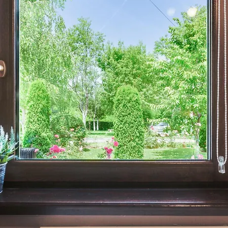 Apartments Patar Grabovac  Room photo